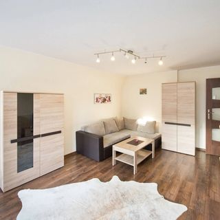 Apartament Gdańskie Poddasza Gdańsk (4)