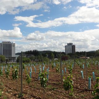 Baricska Apartman Balatonfüred (3)