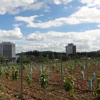 Baricska Apartman Balatonfüred (3)