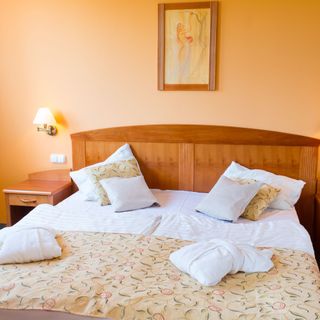 Karos Gold 813 Wellness Apartman Zalakaros (4)