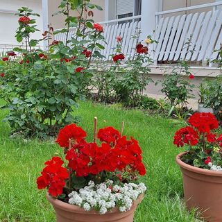 Família Szabó Vendégház Hévíz (4)