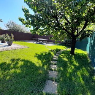 Potyka Apartman Tiszafüred (4)