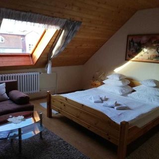 Vila Gabriel Nová Lesná (4)