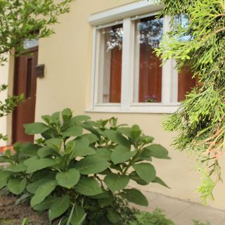 Lolka-Bolka Vendégház Sátoraljaújhely (4)