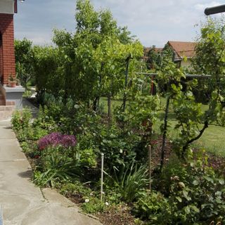 Silye Vendégház Hortobágy (4)