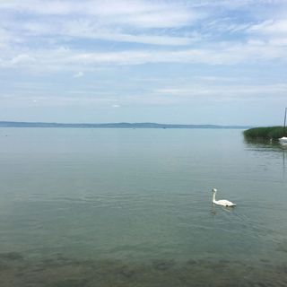 Pelso Apartman Siófok (5)