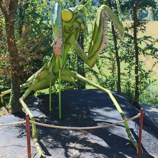 Hotel Dwór Wapowce Przemyśl (3)