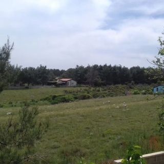 Apartman Me Gusta Vir (4)