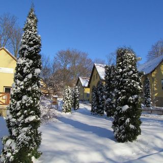 CserVár-Lak Ajka (4)