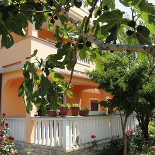 Apartman Loggia Rab (2)