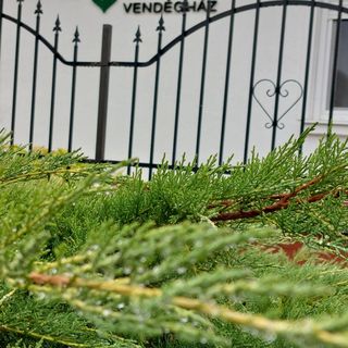 Tulipán Vendégház Sárospatak (3)