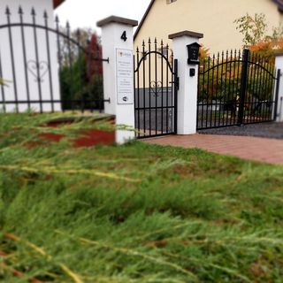 Tulipán Vendégház Sárospatak (5)