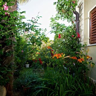 Apartman Lidija Rovinj (2)