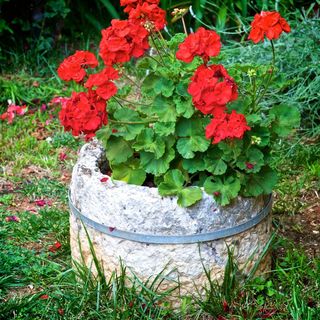 Apartman Lidija Rovinj (4)