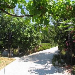 Apartments Milan Vlasici (4)