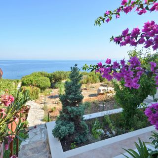 House Julije Zavalatica (3)