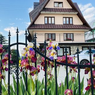 Pokoje Gościnne u Bobaków Zakopane (2)