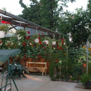 Fácános Vendégház Szegvár (4)