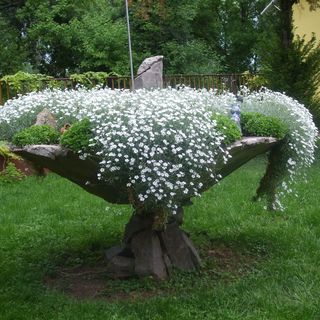 Fácános Vendégház Szegvár (5)