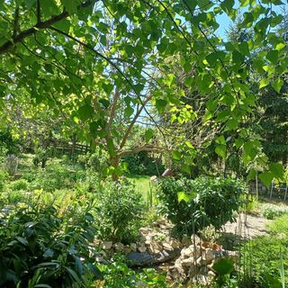 Magdolna Vendégház Écs (3)