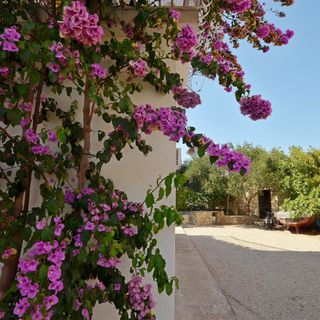 Apartments Šime Srima (2)