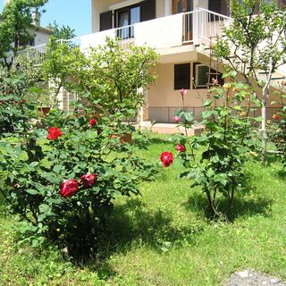 Apartments Pavicic Krk (4)