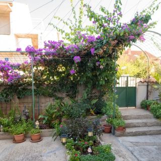 Apartments Anita summer Vodice (5)