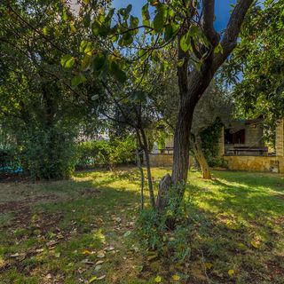 Apartments Milivoj Seget Vranjica (5)