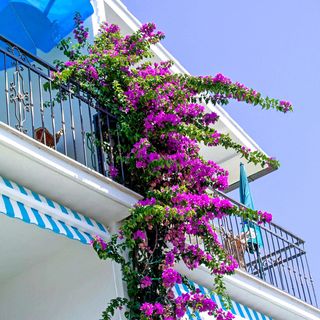 Apartments Jure Okrug Gornji (4)