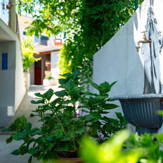 Apartments Kaja Postira (5)