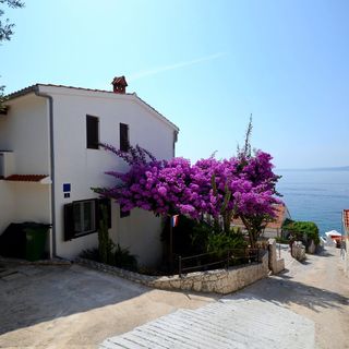 Apartments Katica Okrug Gornji (2)