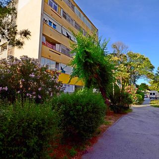 Apartment Sunny Split (3)