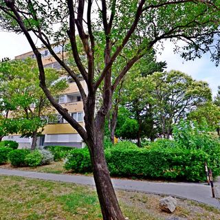 Apartment Sunny Split (2)