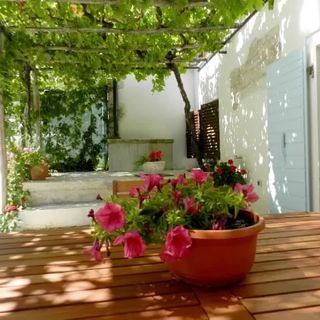 House Elena Lindar (4)