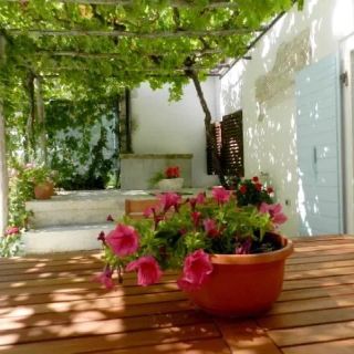 House Elena Lindar (4)