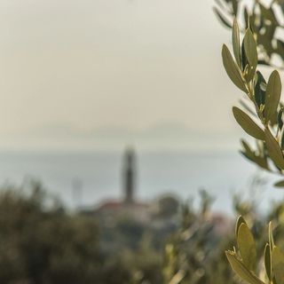 House Lea Igrane (5)