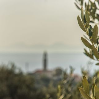 House Lea Igrane (5)