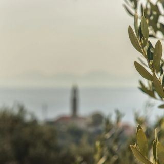 House Lea Igrane (5)