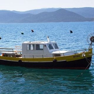 Apartments and Rooms Florijan Komarna (5)