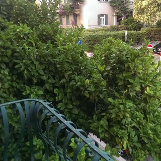 Apartment Marijo Split (5)