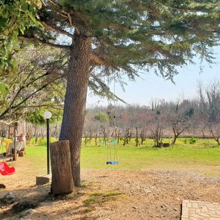 Apartments Jakominić Silo (2)