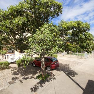 Apartments and Rooms Mladen Vodice (4)