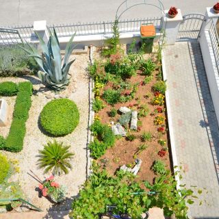 Apartments and Room Zinka Vodice (2)