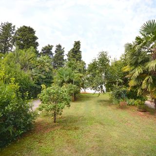 Apartments Dasen Umag (3)