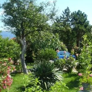 Apartments Grskovic G. Jesenovica Silo (3)