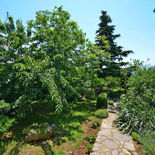 Apartments Jadrana Novi Vinodolski (5)