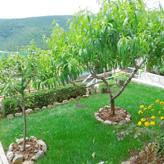 Apartments Elide Rabac (3)