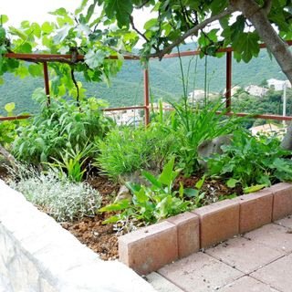 Apartments Elide Rabac (4)