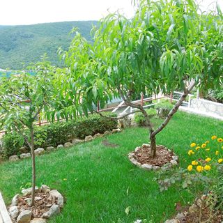 Apartments Elide Rabac (3)