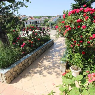 Apartments Dragica C. Silo (5)